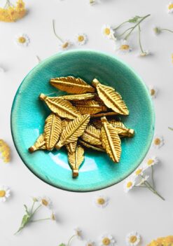 Feather Brass charms