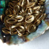 Shell brass charms