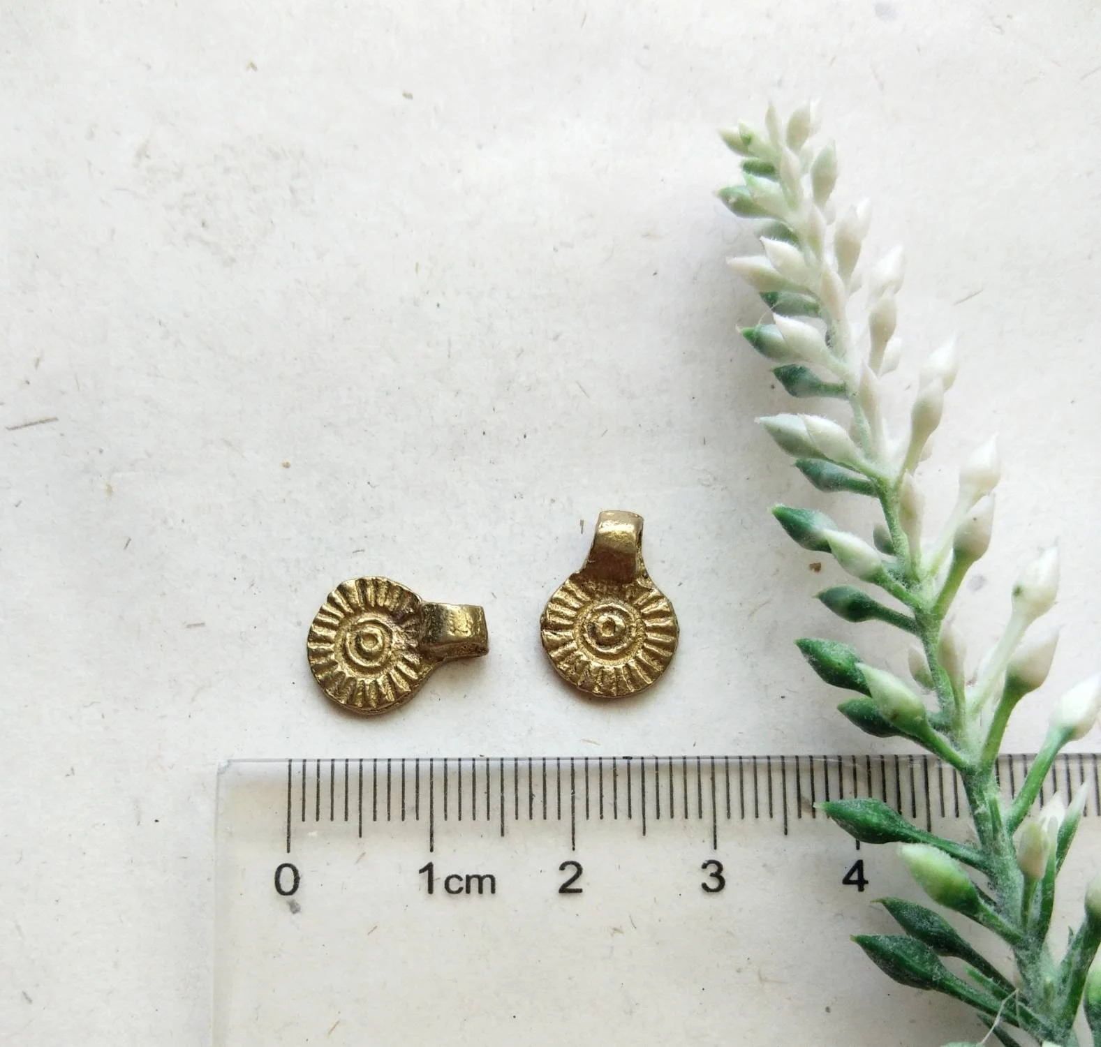Shell Brass Charms – Jewelry Charms