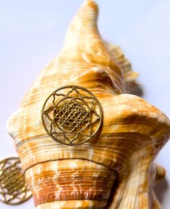 Intricate Golden Sri Yantra Pendant Brass Special Charms